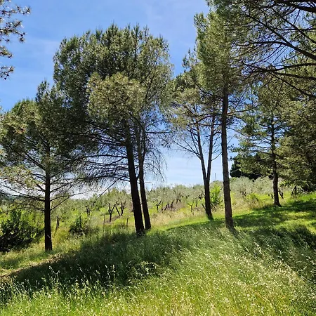 Apartment Santa Cristina *