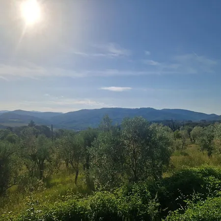 Santa Cristina Apartment Greve in Chianti