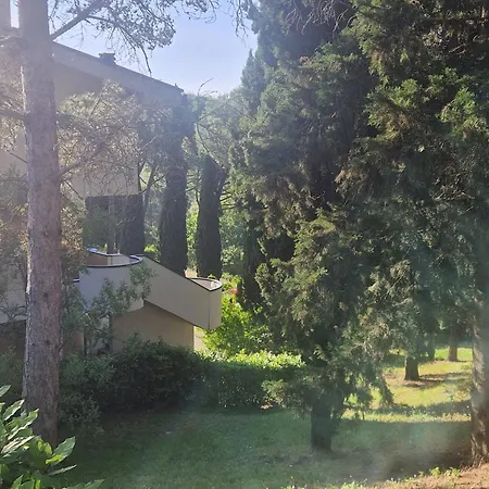 Santa Cristina Apartment